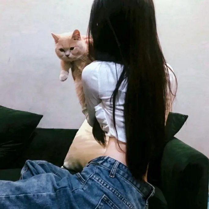 盗影谜情